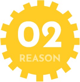 02 REASON