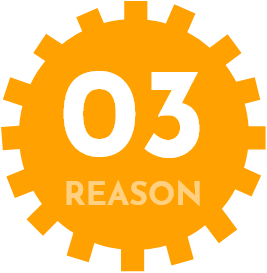 03 REASON
